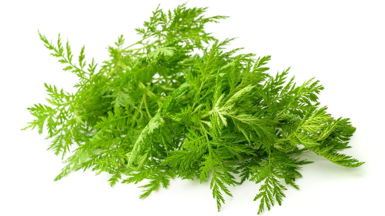 Vasaxal'de Wormwood Extract